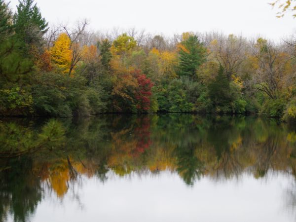 Turtle Pond