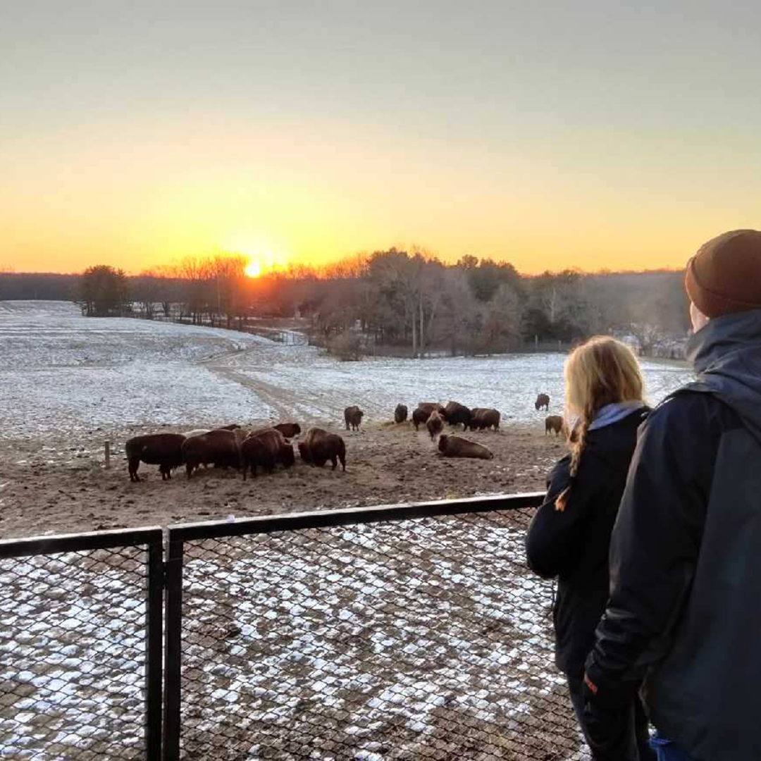 Groundhog Day at Wildlife Prairie Park