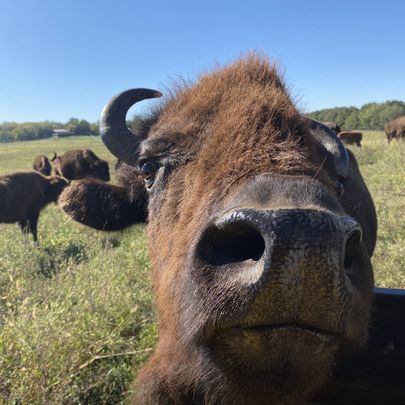 Wildlife Prairie Park 300 Mile Hiking Challenge