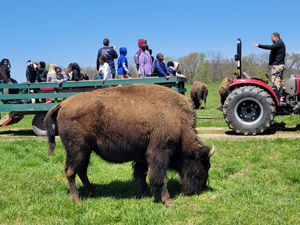 Experiences at Wildlife Prairie Park