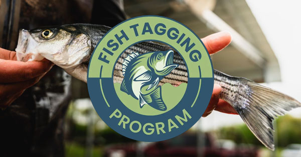 Fish Tagging Program at Wildlife Prairie Park