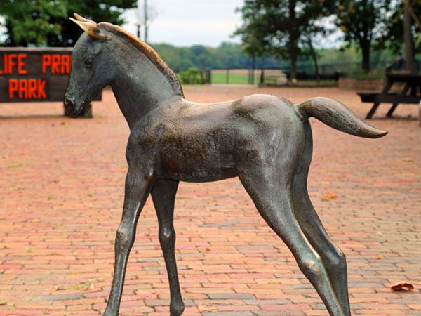 Wildlife Prairie Park Sculpture Walk