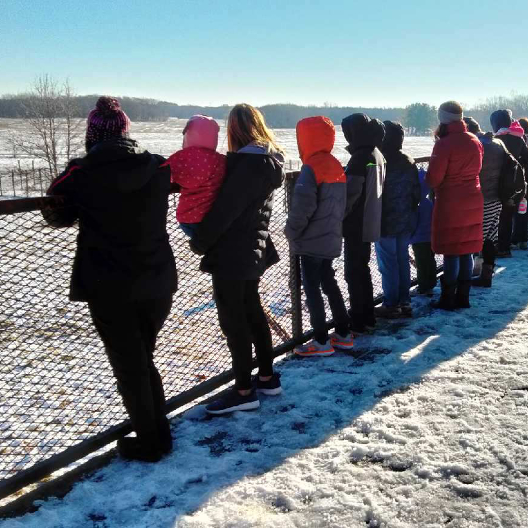 Groundhog Day at Wildlife Prairie Park