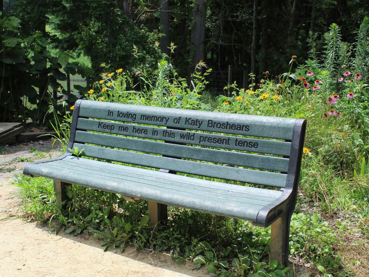 Katie's Memorial Bench