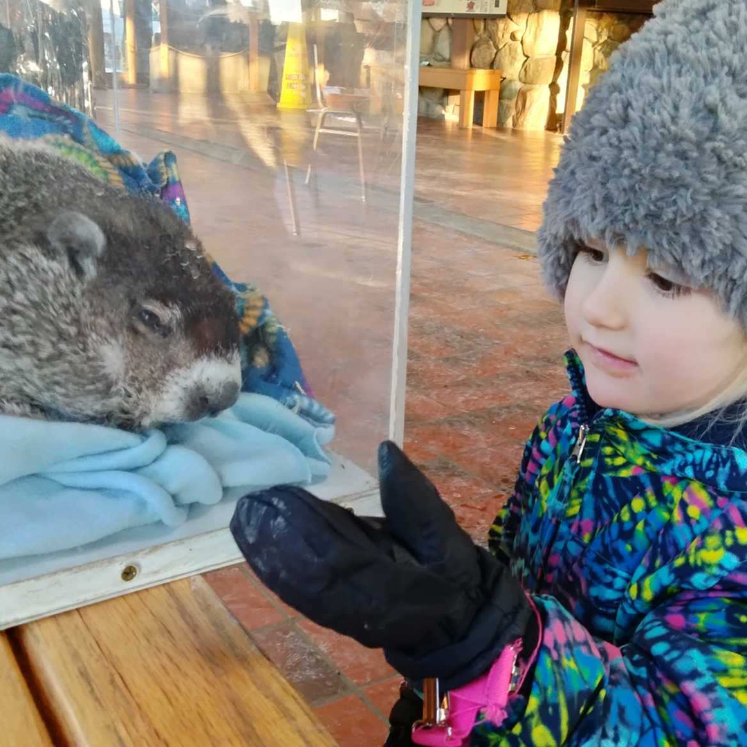 Groundhog Day at Wildlife Prairie Park