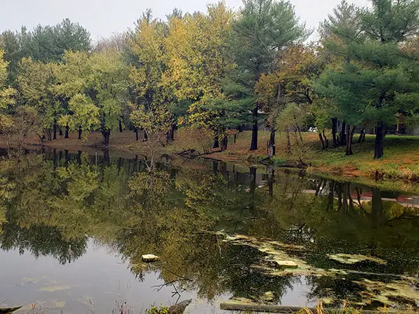 Caboose Lake