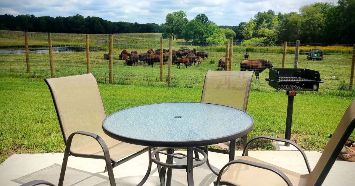 Legacy Cabin Patio with Bison View