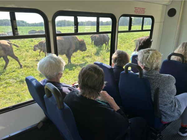 Adventure Trek on Bus