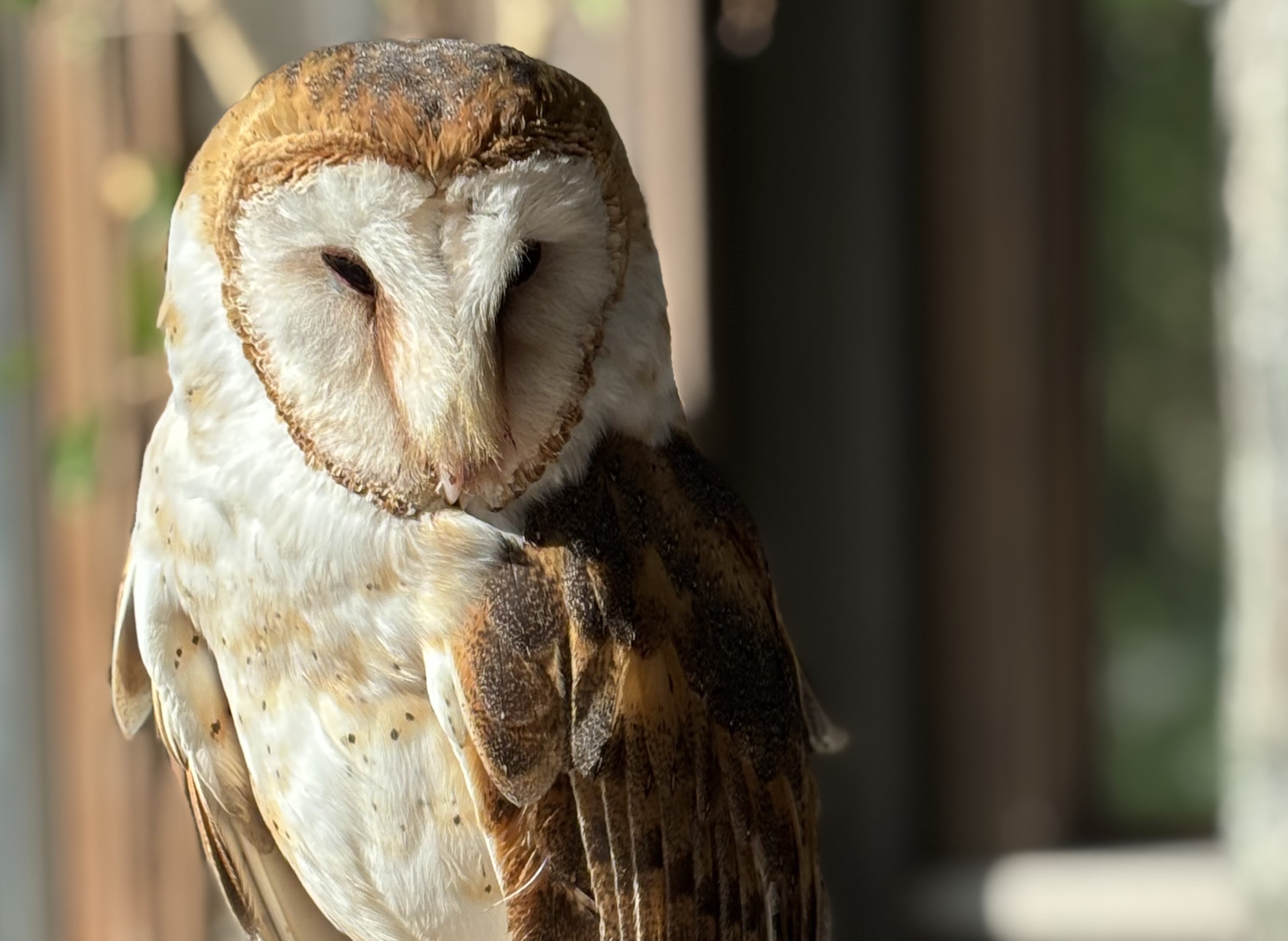 Private Meet & Greet at Wildlife Prairie Park