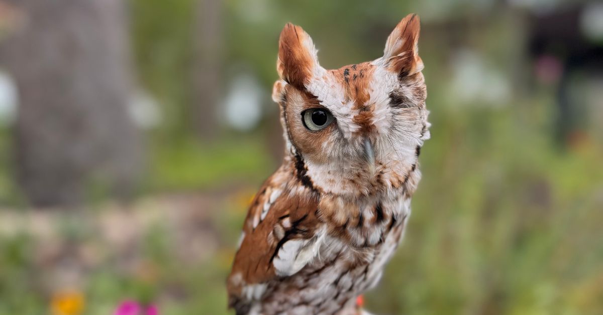 Private Meet & Greet