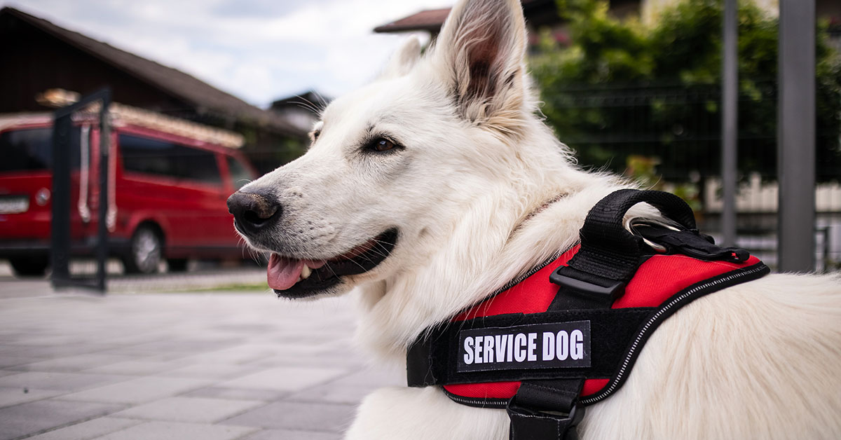 Service Animals at Wildlife Prairie Park