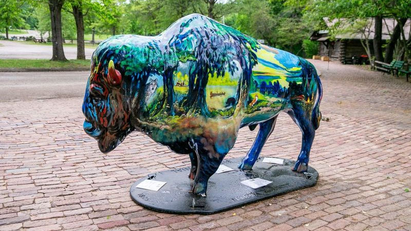 Visit Buddy the Bison at Wildlife Prairie Park