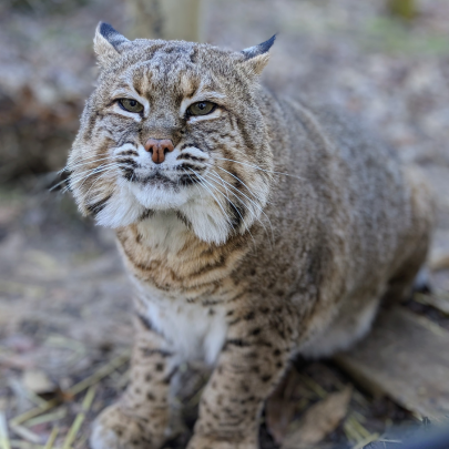Wildlife Prairie Park 75 Mile Hiking Challenge
