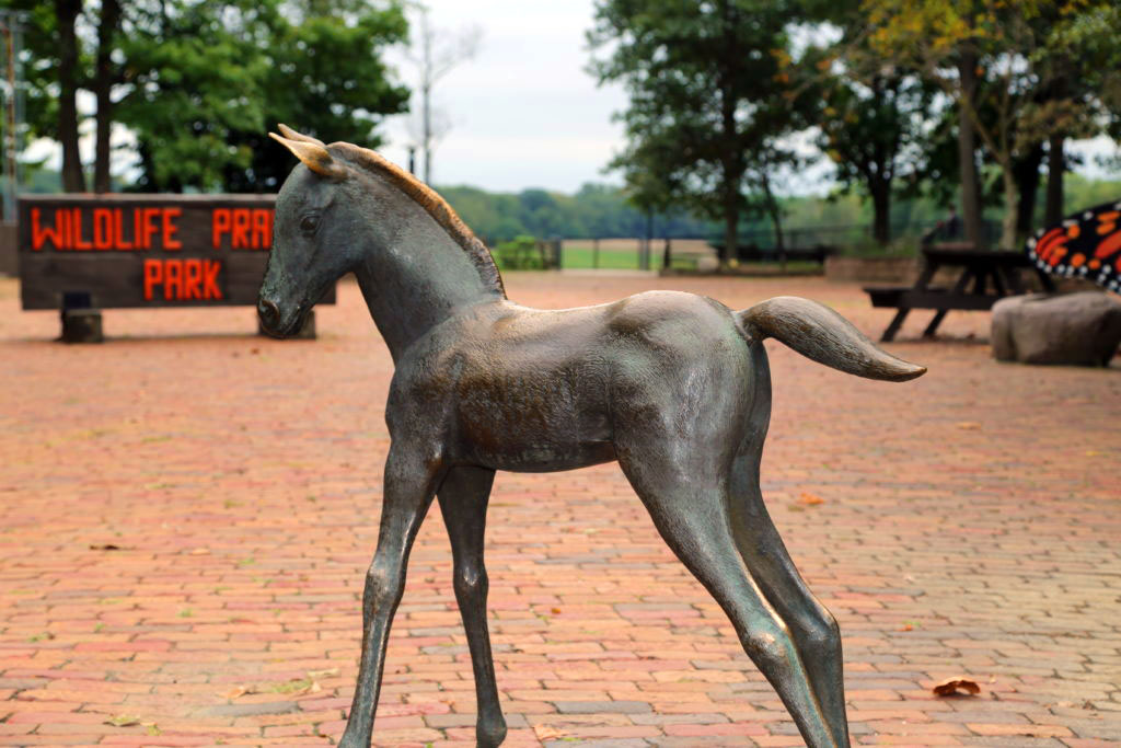 Bronze Colt Sculpture at Wildlife Prairie Park