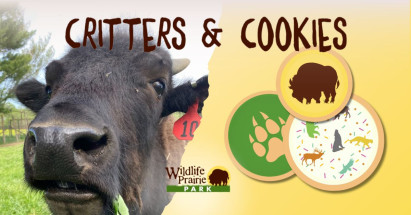 Critters & Cookies Educational Programs at Wildlife Prairie Park