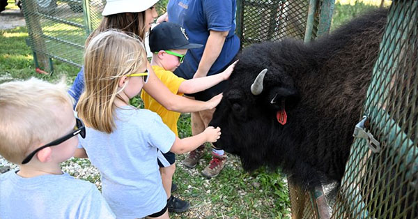 Private Animal Meet & Greet at Wildlife Prairie Park
