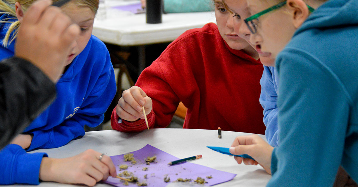 Educational Field Trips at Wildlife Prairie Park