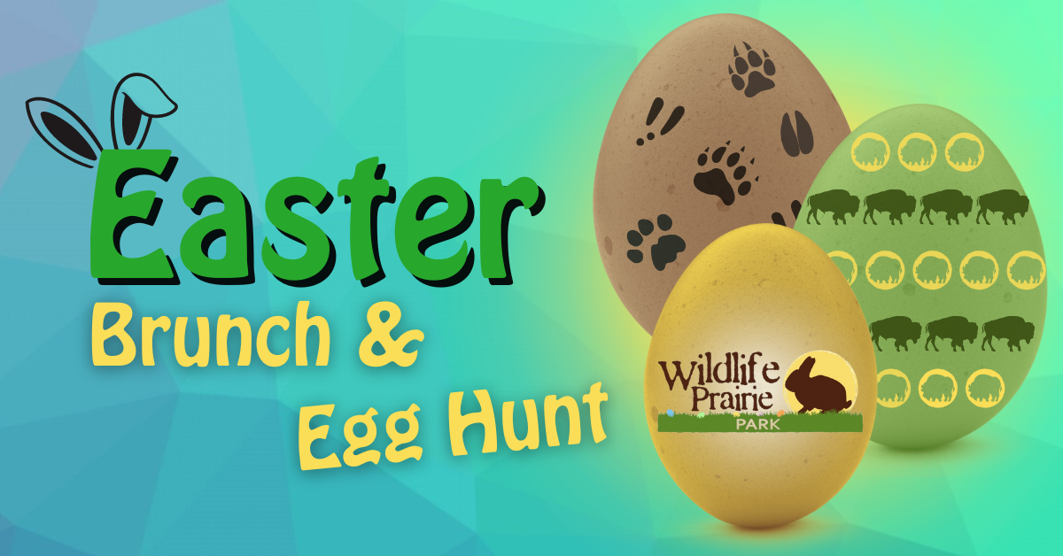 Easter Brunch Egg Hunt Wildlife Prairie Park